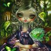 Jasmine Becket Griffith Fish paint by numbers