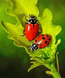 Ladybugs On A Leaf paint by numbers