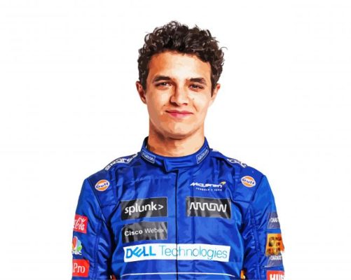 Lando Norris Mclaren paint by numbers
