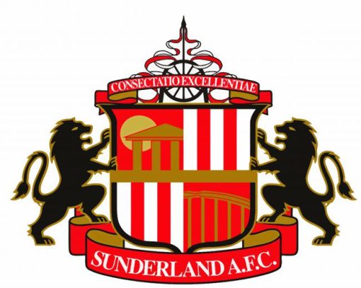 Sunderland Association Logo paint by numbers