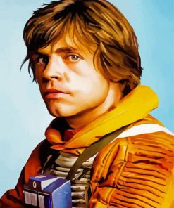 Luke Skywalker paint by numbers