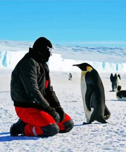 Man And Penguins In Antarctica paint byh numbers