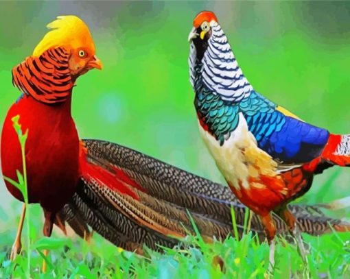 Ring Necked Pheasants paint by numbers