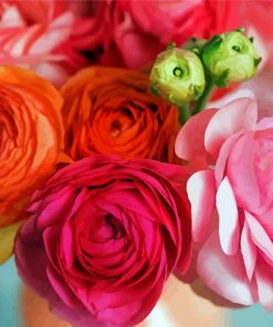 Pink And Orange Ranunculus paint by numbers