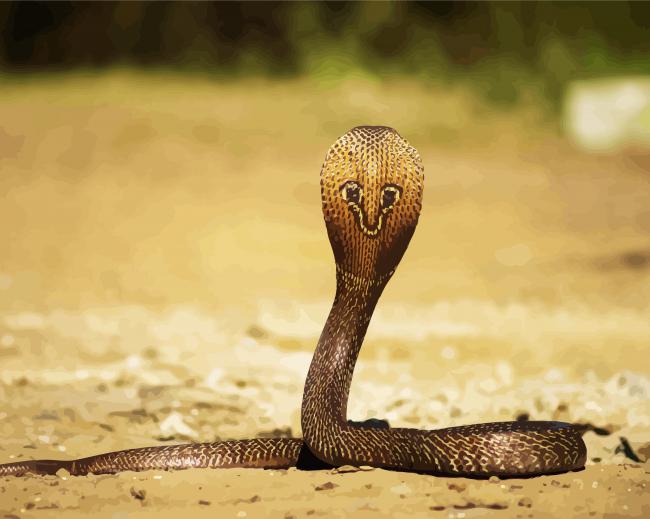 Poisonous Cobra paint by numbers