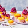 Purple Cupcake paint by numbers