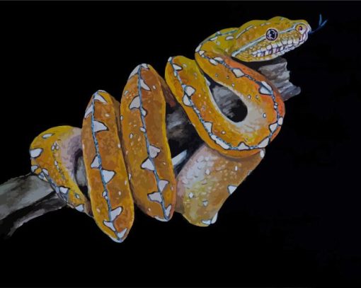Python Snake Art paint by numbers