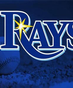 Tampa Bay Rays Logo paint by numbers