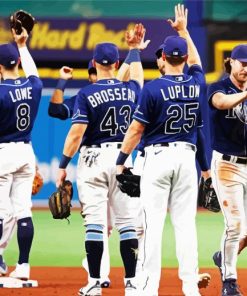 Tampa Bay Rays paint by numbers