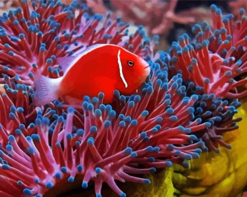 Red Fish Between Anemones paint by Numbers