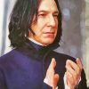 Aesthetic Professor Severus Snape paint by numbers