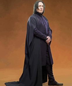 Professor Severus Snape Character paint by numbers