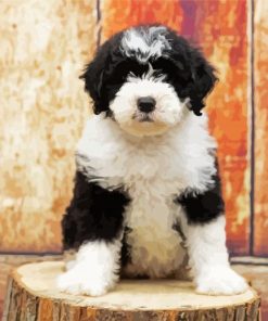 Adorable Sheepadoodle Puppy Dog paint byb numbers