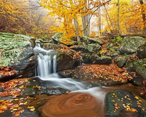 Shenandoah National Park paint by numbers