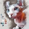 Sphynx Cat Art paint by numbers