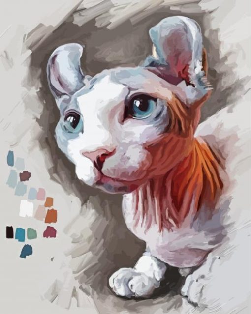 Sphynx Cat Art paint by numbers