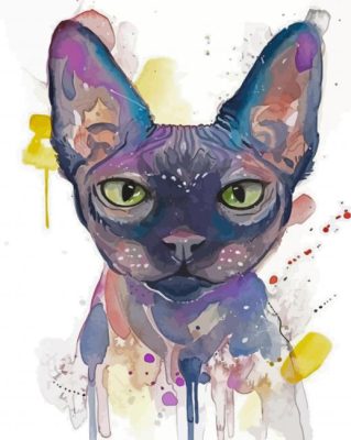 Sphynx Cat Animal Art paint by numbers