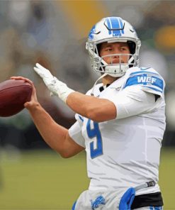 Matthew Stafford paint by numbers