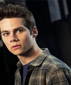 Handsome Stiles Stilinski paint by numbers