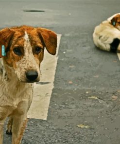 Street Dog paint by numbers