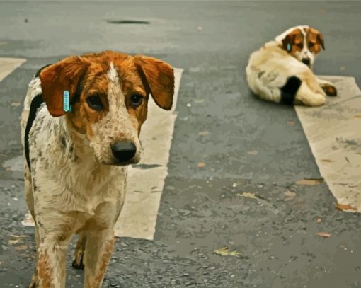 Street Dog paint by numbers