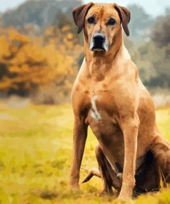 Rhodesian Ridgeback Dog Animal paint by numbers