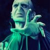 Voldemort Illustration paint by numbers