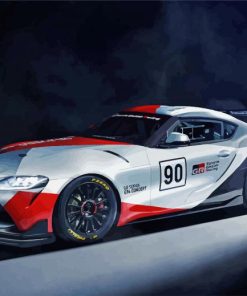 Toyota GR Supra GT4 paint byb numbers