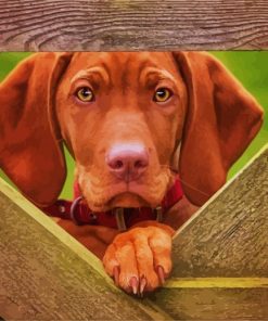 Brown Vizsla Dog paint by numbers