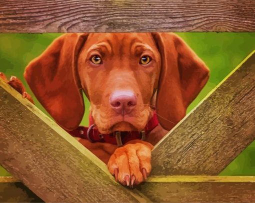 Brown Vizsla Dog paint by numbers