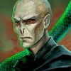 Voldemort Character Illustration paint by numbers