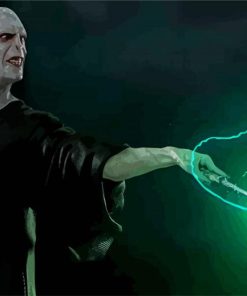 Voldemort Character paint by numbers