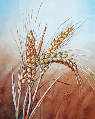 Wheat Stalk paint by numbers