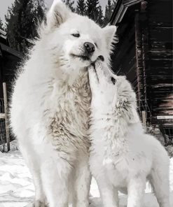 White Samoyeds Dogs paint by numbers