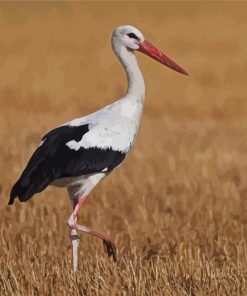 Aesthetic Stork Bird paint by numbers