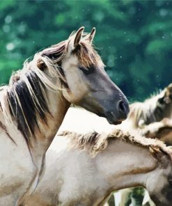 Aesthetics White Brumbies Horses paint by numbers