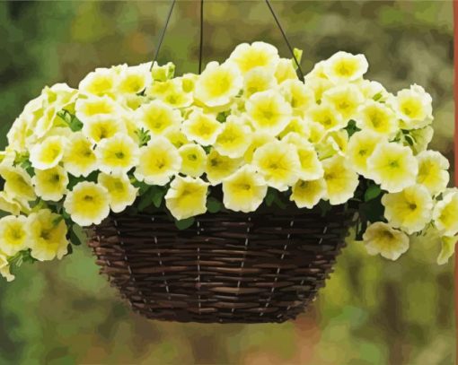 Yellow Petunia In Basket paint by numbers