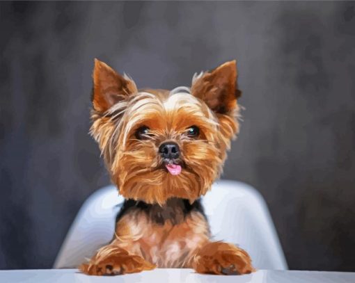 Funny Yorkie Dog paint by numbers