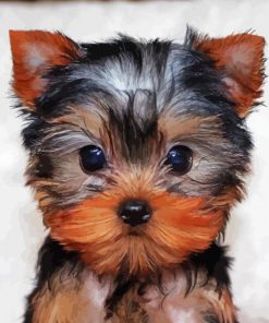 Cute Yorkie Puppy paint by numbers