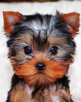 Cute Yorkie Puppy paint by numbers