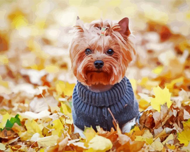 Yorkshire Terrier paint by numbers