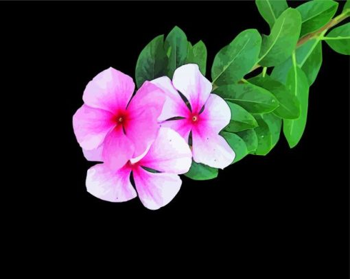 Adorable Floral With Black Background paint by numbers