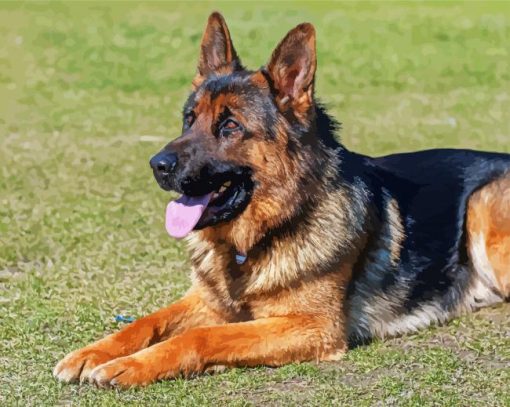Adorable German Shepherds paint by numbers