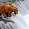 Aesthetic Bears And Waterfall paint by numbers