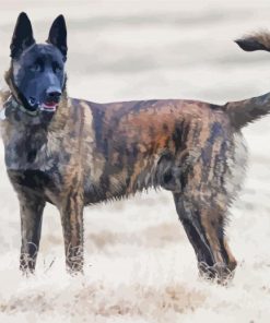 Aesthetic Dutch Shepherd paint by numbers