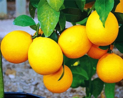 Yellow Lemon Tree Plant paint by numbers