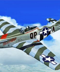 Flying Aesthetic P52 Mustang paint by numbers