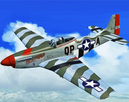 Flying Aesthetic P52 Mustang paint by numbers