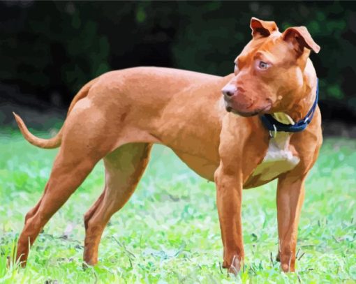 Aesthetic Pitbull Dog Animal paint by numbers
