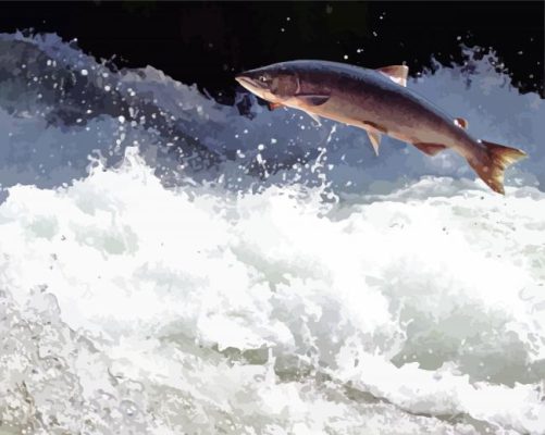 Aesthetic Trout Stream paint by numbers